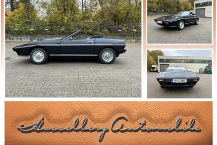 VW Tasmin Rechtslenker RHD SCHNAPPER 