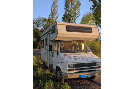 Fiat Ducato Gebrauchtwagen
