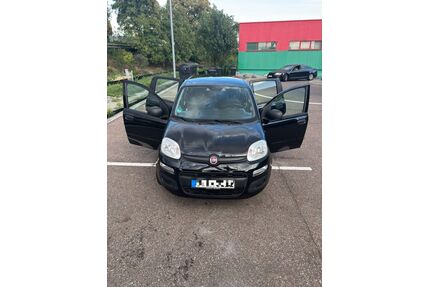 Fiat Panda Gebrauchtwagen