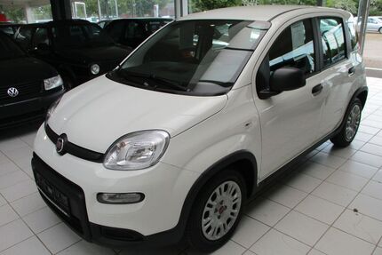 Fiat Panda Gebrauchtwagen