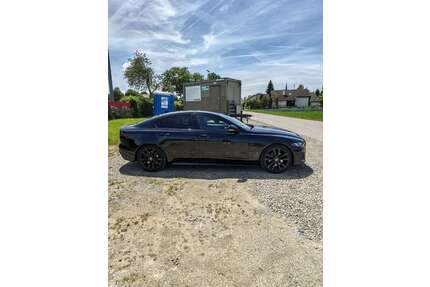 Jaguar XE Gebrauchtwagen