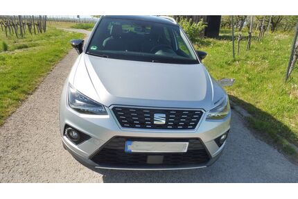 Seat Arona Gebrauchtwagen