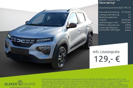 Dacia Spring Gebrauchtwagen