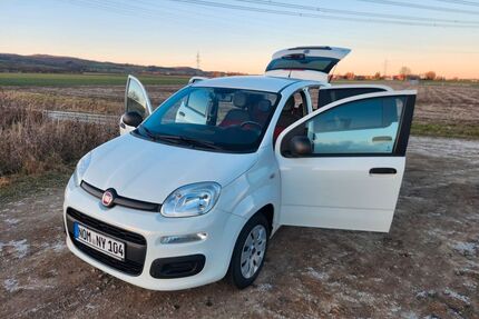 Fiat Panda Gebrauchtwagen