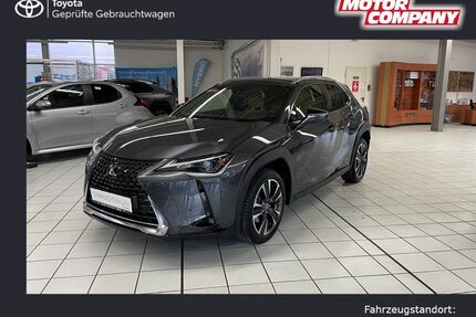 Lexus UX Gebrauchtwagen