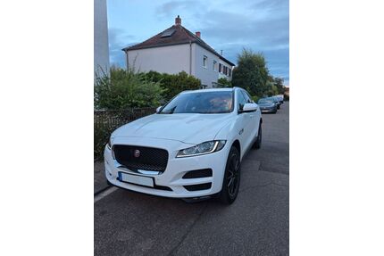 Jaguar F-Pace Gebrauchtwagen