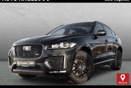 Jaguar F-Pace Gebrauchtwagen
