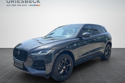 Jaguar F-Pace Gebrauchtwagen