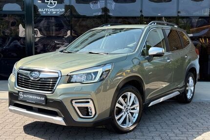 Subaru Forester Gebrauchtwagen