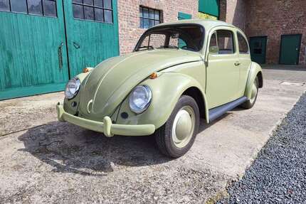 VW Käfer Gebrauchtwagen