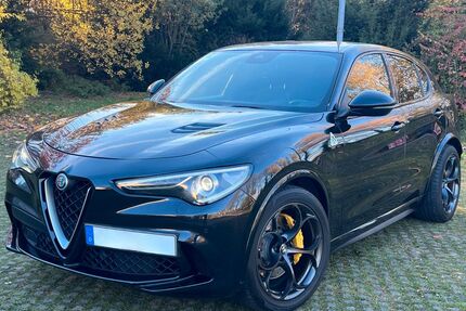 Alfa Romeo Stelvio Gebrauchtwagen