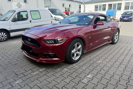Ford Mustang Gebrauchtwagen