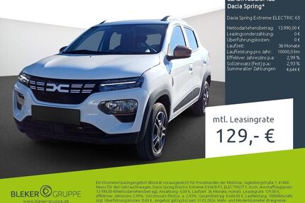 Dacia Spring Gebrauchtwagen