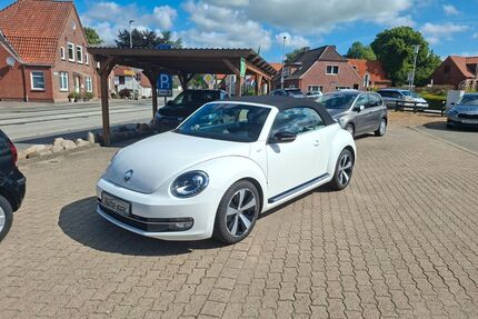 VW Beetle Gebrauchtwagen