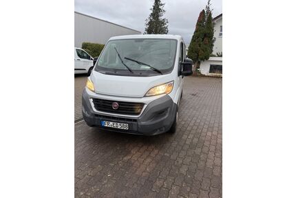 Fiat Ducato Gebrauchtwagen