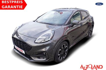 Ford Puma Gebrauchtwagen