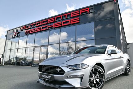 Ford Mustang Gebrauchtwagen