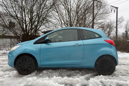 Ford Ka/Ka+ Gebrauchtwagen