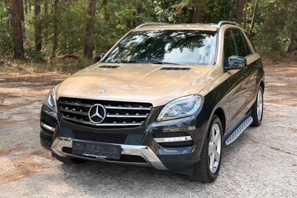 Mercedes-Benz ML 350 Gebrauchtwagen