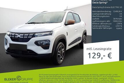 Dacia Spring Gebrauchtwagen