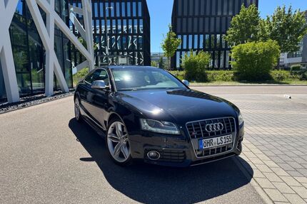 Audi S5 Gebrauchtwagen
