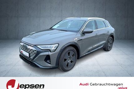 Audi Q8 e-tron Gebrauchtwagen