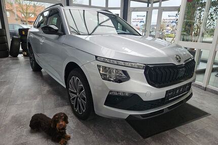 Skoda Kamiq Gebrauchtwagen