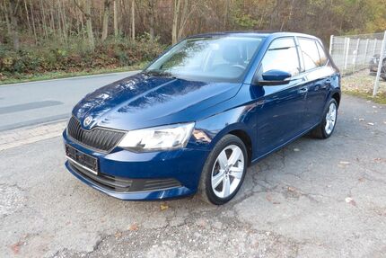 Skoda Fabia Gebrauchtwagen
