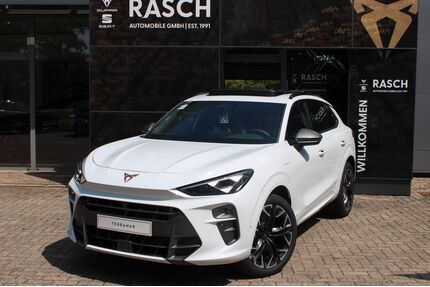 Cupra Terramar Gebrauchtwagen