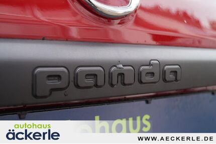 Fiat Panda Gebrauchtwagen