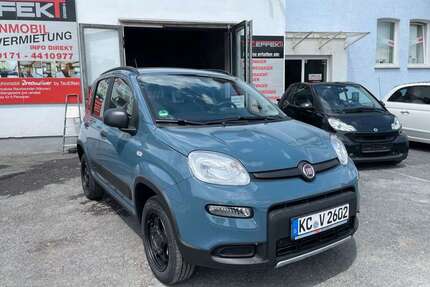 Fiat Panda Gebrauchtwagen