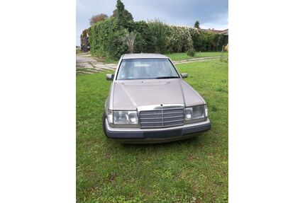 Mercedes-Benz 250 Gebrauchtwagen