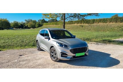 Ford Kuga Gebrauchtwagen
