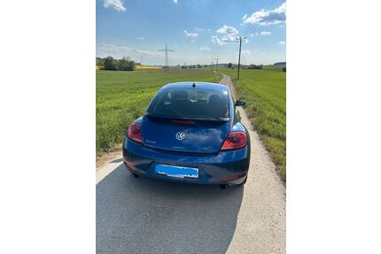 VW Beetle Gebrauchtwagen