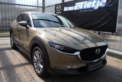 Mazda CX-30 Gebrauchtwagen