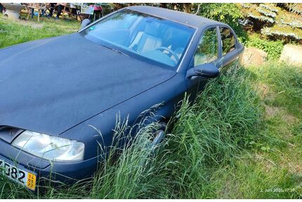 Alfa Romeo 166 Gebrauchtwagen