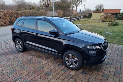 Skoda Karoq Gebrauchtwagen
