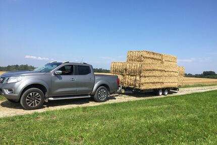 Nissan NP 300 Gebrauchtwagen