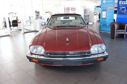 Jaguar XJS Gebrauchtwagen