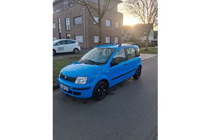Fiat Panda Gebrauchtwagen