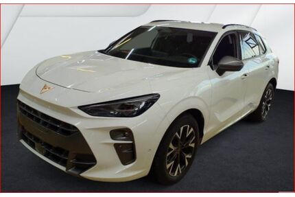 Cupra Terramar Gebrauchtwagen