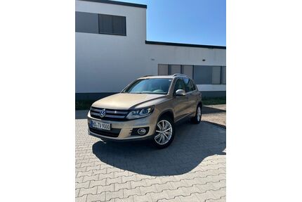 VW Tiguan Gebrauchtwagen