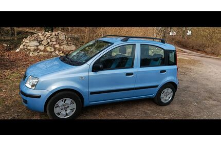 Fiat Panda Gebrauchtwagen