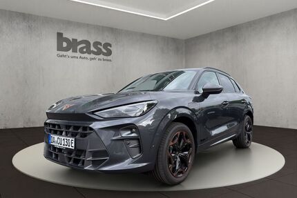Cupra Terramar Gebrauchtwagen