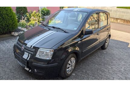 Fiat Panda Gebrauchtwagen