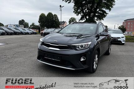 Kia Stonic Gebrauchtwagen