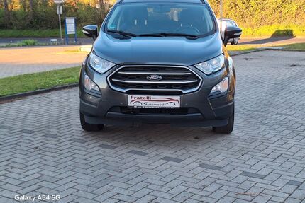 Ford EcoSport Gebrauchtwagen
