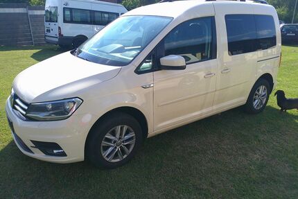 VW Caddy Gebrauchtwagen