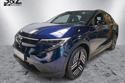 Nissan Leaf Gebrauchtwagen