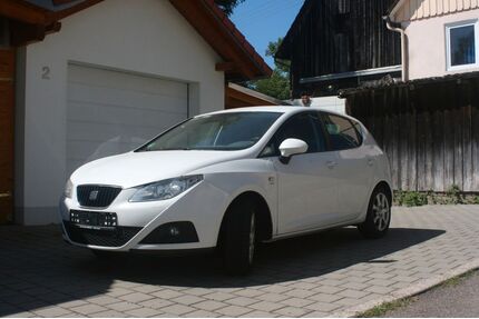 Seat Ibiza Gebrauchtwagen